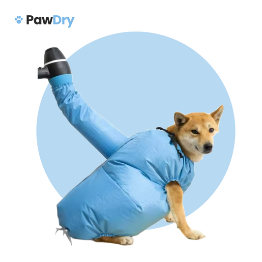 Traje secador para perros