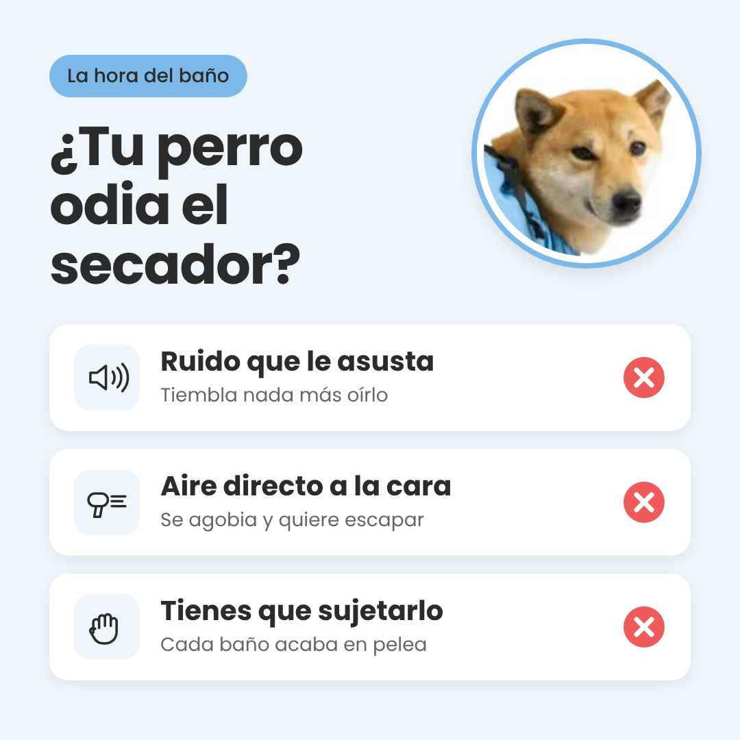 Traje secador para perros