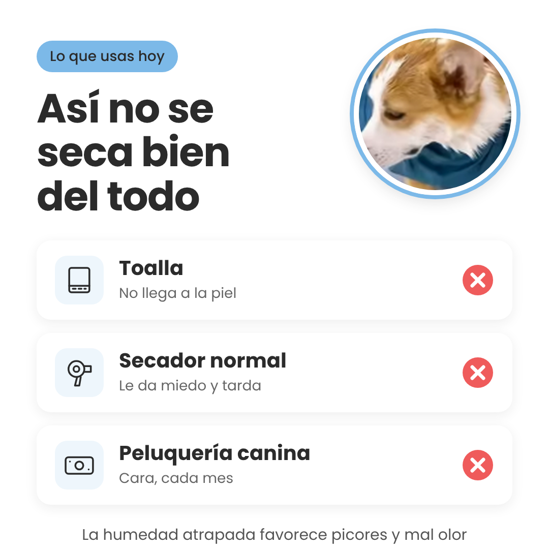 Traje secador para perros