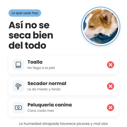 Traje secador para perros
