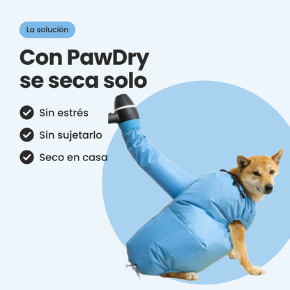 Traje secador para perros