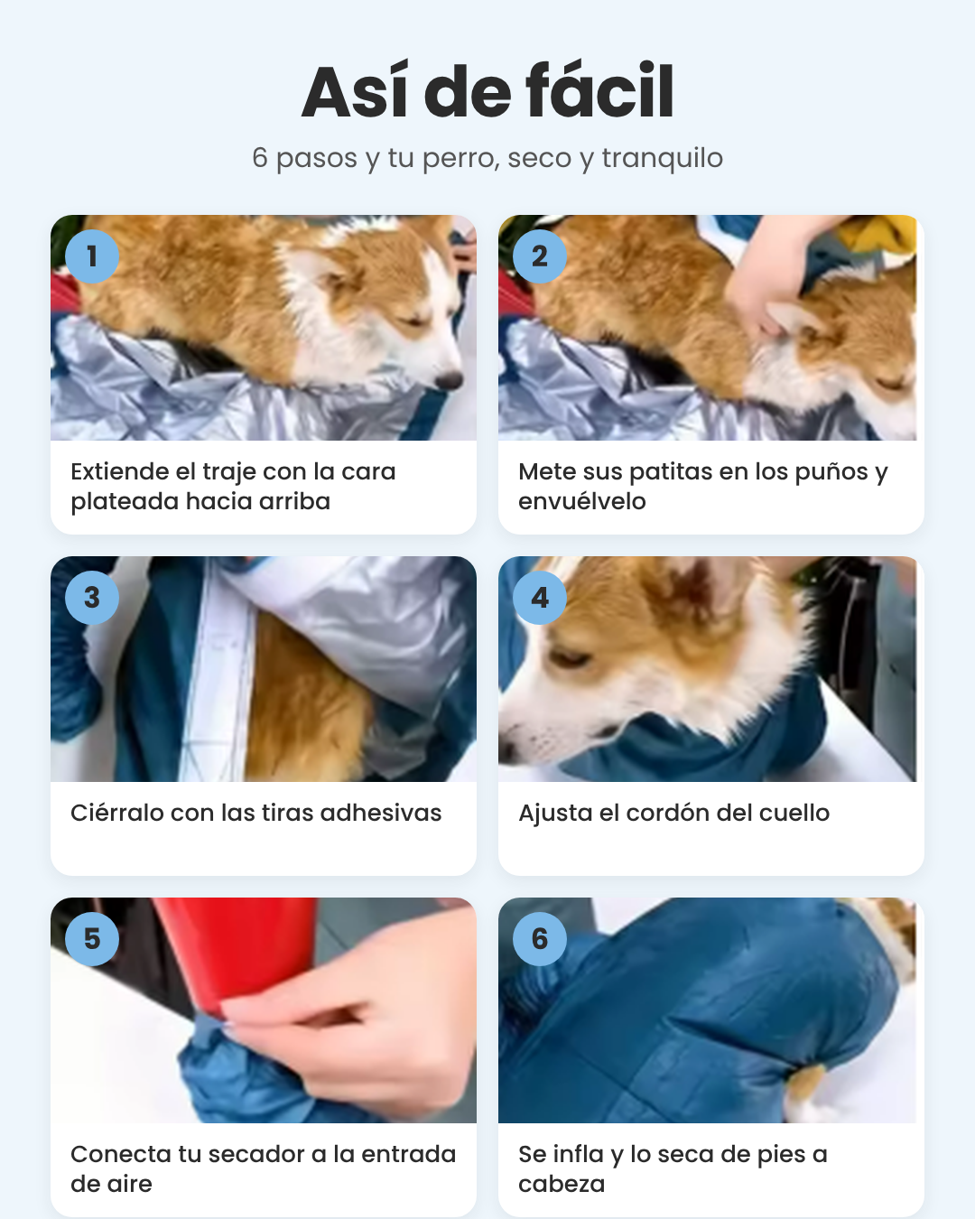Traje secador para perros